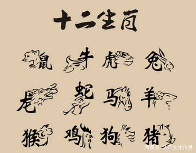 坐观成败打一准确生肖详细解答、前沿解答解释落实