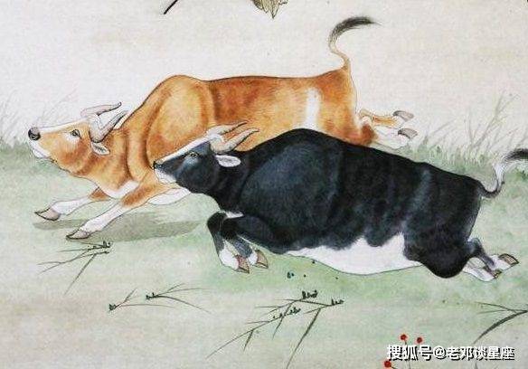 酒浇块垒打一准确生肖,警惕虚假宣传落实,详细解答解释落实